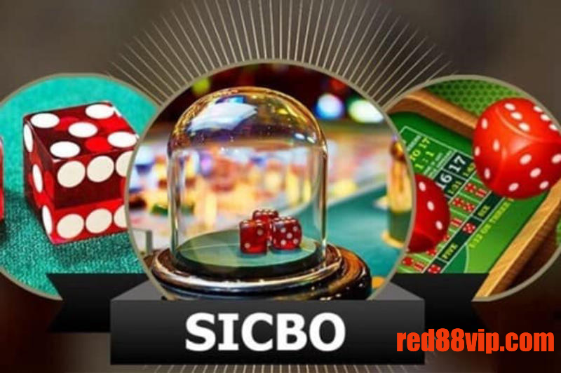 Giới thiệu tổng quát về dòng game Sicbo Red88